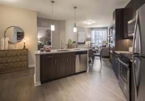 Kitchen High-end Finishes