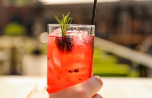 Summer Cocktail Recipes