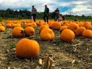 fall events in howard county