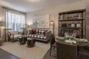 cozy apartment at the vine